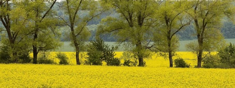 Repce - countryside-farm-landscape